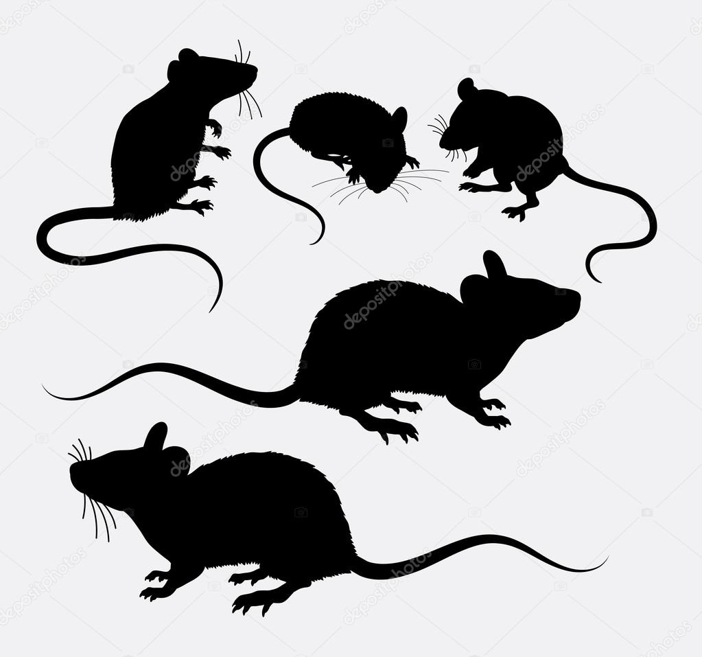 Mouse and rat animal silhouette. Good use for symbol, logo, web icon, mascot, sign, sticker, or any design you want. Easy to use.