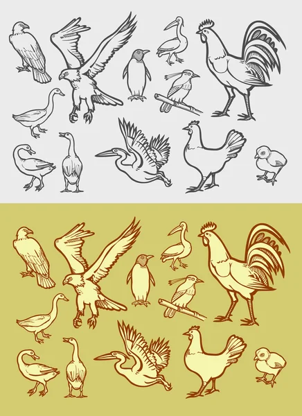 Ícones de aves de capoeira esboço estilo vintage, preto e branco . — Vetor de Stock