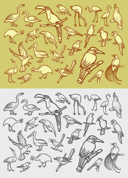 Bird icons sketch vintage style — Stock Vector