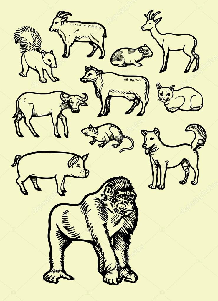 Wild animal sketch 2 Stock Vector Image by ©Cundrawan703 #69982195