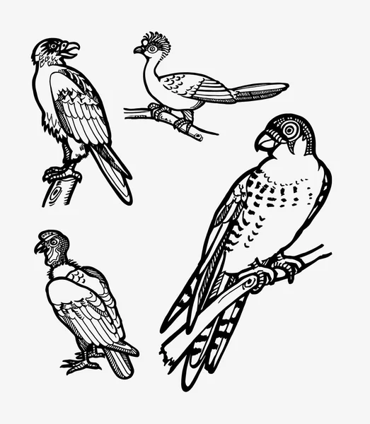 Croquis d'oiseau 1 — Image vectorielle