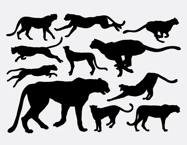 Cheetah wild animal silhouettes — Stock Vector