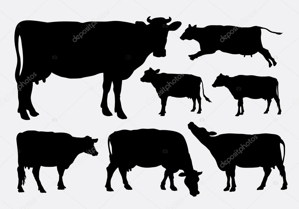 Cow animal silhouettes