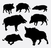 Wild boar silhouettes