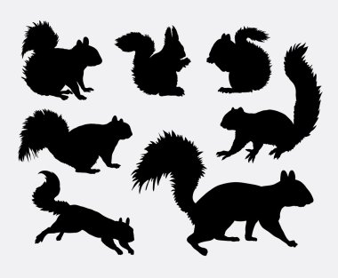 Squirrel animal silhouettes