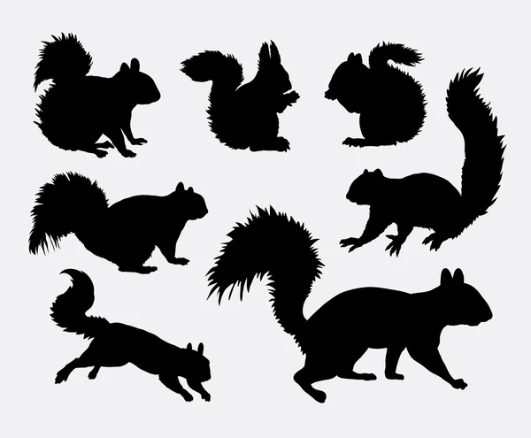 Siluetas de animales ardilla — Vector de stock