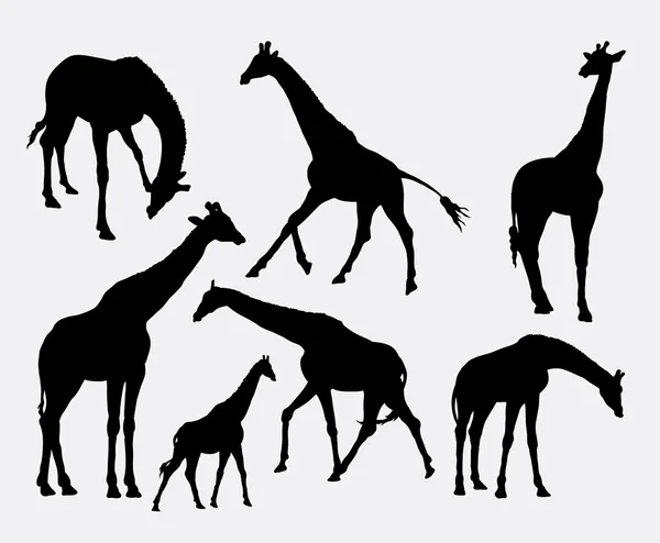 Siluetas de jirafa animal — Vector de stock