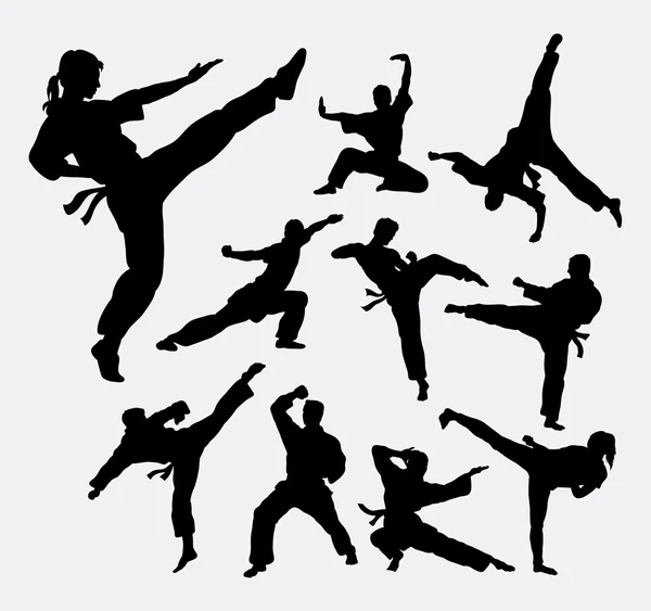 Martial art 2 male and female silhouettes — Stock Illustration Martial art 2 male and female silhouettes Stock Vector
