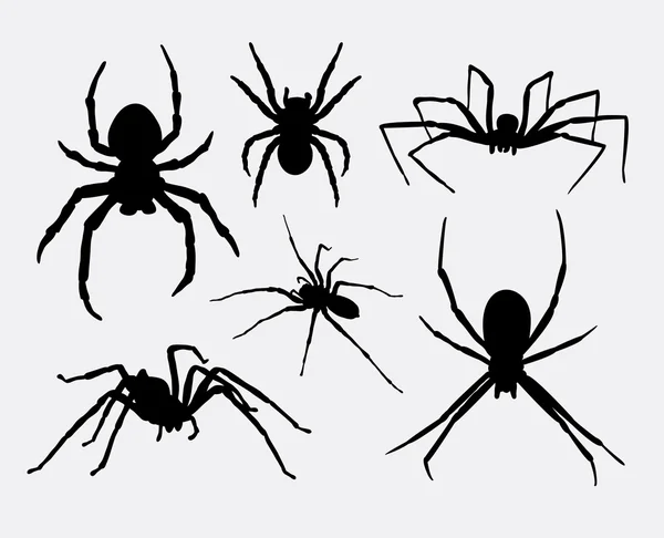 Spider insect animal silhouettes — Stock Vector