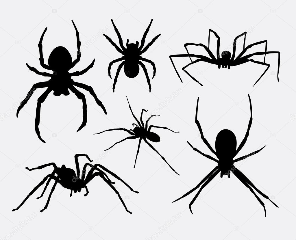 Spider insect animal silhouettes. Good use for symbol, web icons, logo, mascot, or any design you want. Easy to use.