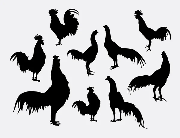 Rooster and cock pose silhouettes — Stock Vector
