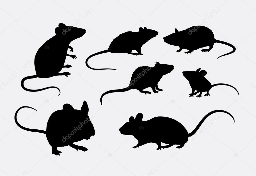 Rat and mice silhouettes