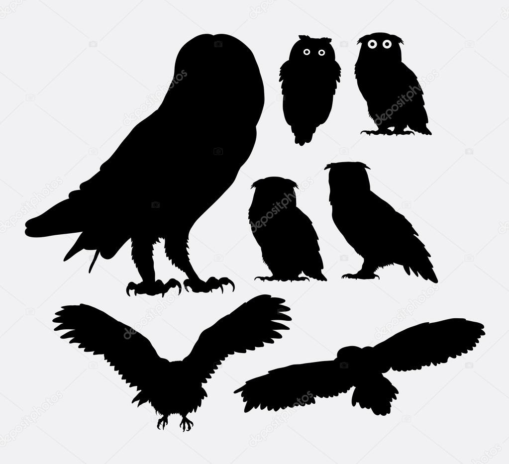 Owl bird silhouettes. Good use for symbol, web icon, logo, mascot, or any design you want.