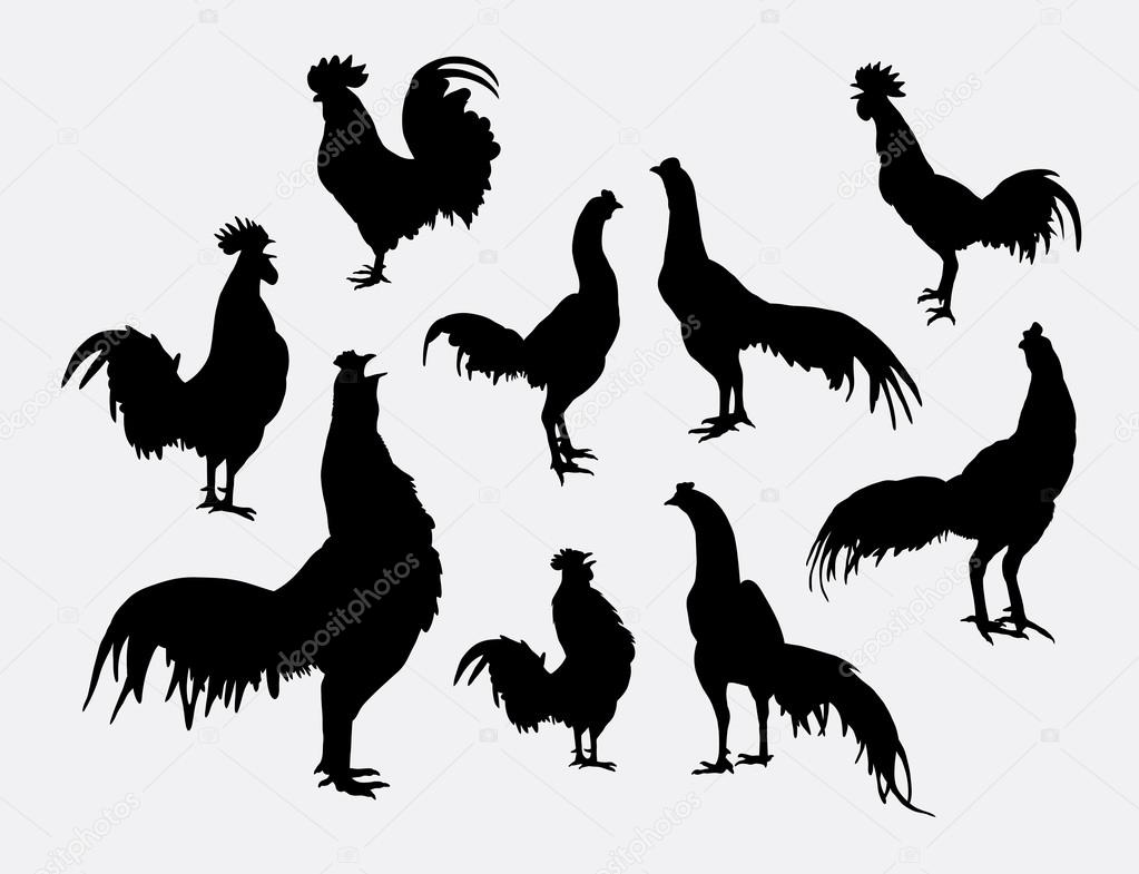 Rooster and cock pose silhouettes. Good use for symbol, logo, web icon, mascot, or any design you want. Easy to use.