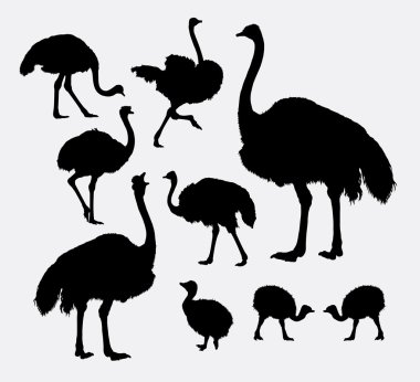 Ostrich poultry animal silhouettes