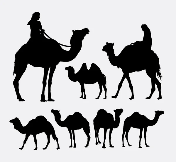 Camel animal silhouettes — 图库矢量图片