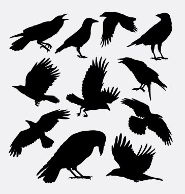 Crow bird animal silhouettes