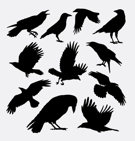 Krähen Vogel Tier Silhouetten — Stockvektor