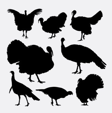 Turkey cock bird poultry animal silhouette