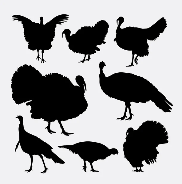 Pavo polla aves de corral animal silueta — Vector de stock