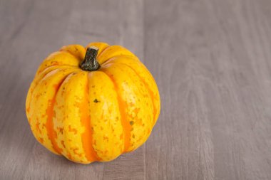 Renkli güzel balkabağı ahşap bir arka planda yatıyor