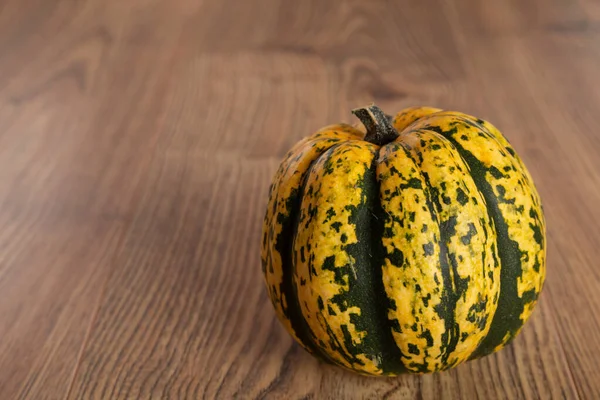 Colored beautiful pumpkin lies on a wooden background — Stock Photo, Image