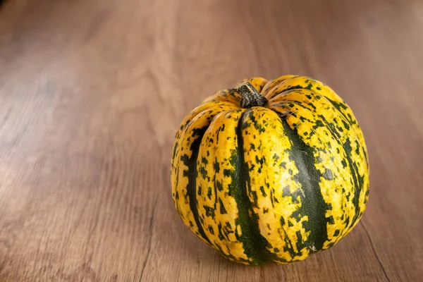 Colored beautiful pumpkin lies on a wooden background — Stock Photo, Image