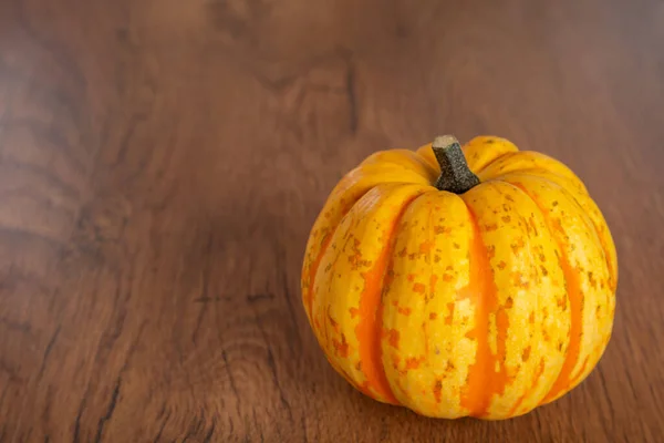 Colored beautiful pumpkin lies on a wooden background — Stock Photo, Image