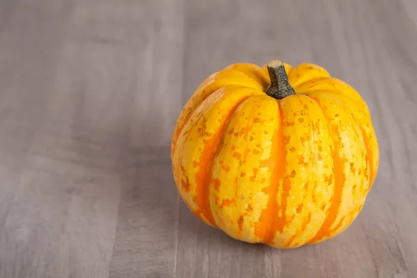 Colored beautiful pumpkin lies on a wooden background — Stock Photo, Image