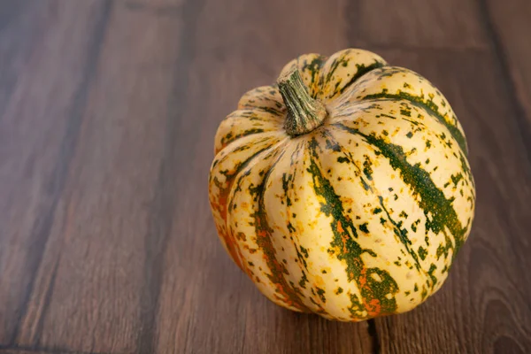 Colored beautiful pumpkin lies on a wooden background — Stock Photo, Image