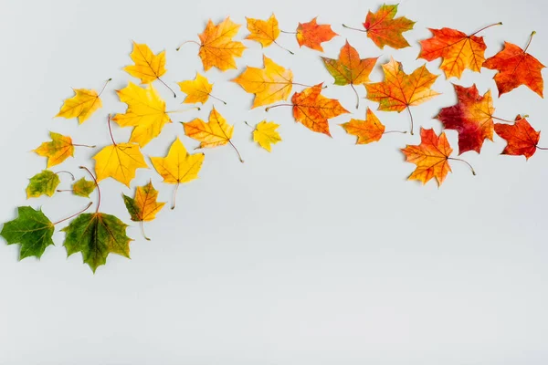 Herfst Bladeren Kleurrijke Regenboog Kleur Gradiënt Zomer Herfst Seizoen Verandering — Stockfoto