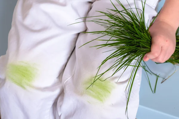 Schmutzige Grasflecken Auf Kinderhosen Schmutzfleck Alltag Für Sauberes Und Sauberes — Stockfoto