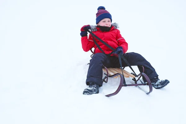 Enfant Assis Sur Traîneau Tenant Cordon Dans Parc Hiver Photo — Photo