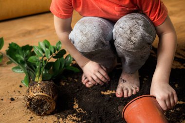 Kirli çocuk dizlerine odaklan. Dizler saksıdan toprak toplar.. 