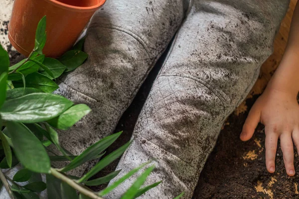 The child sits on the floor with the poured earth in flowerpot on clothes. The concept of cleaning stains on clothes. top view