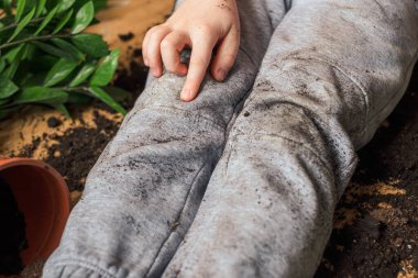  Çocuğun parmağı pantolondaki kirli toprak lekesini işaret ediyor. Temizlik için günlük yaşam lekesi. - Evet. Yüksek kalite fotoğraf