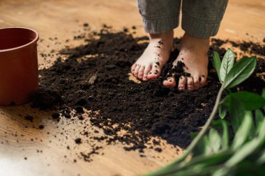 Çıplak ayaklı çocuk, saksıya saçılmış vaziyette yerde duruyor. Yüksek kalite fotoğraf
