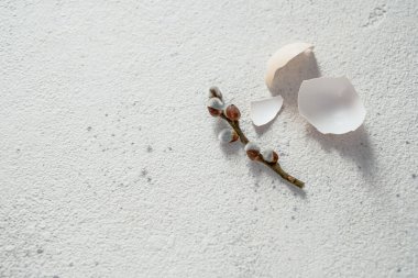 Beyaz arka planda söğüt dalı ve yumurta kabuğu. Minimum konsept. Kopyalama alanı, üst görünüm. Yüksek kalite fotoğraf
