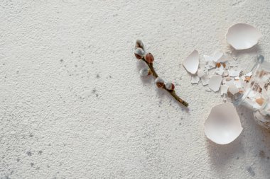 Yaratıcı Paskalya konsepti. Yumurta kabukları ve söğüt dalları kavanozlardan dağılmış. En az sağlıklı beslenme konsepti. Beyaz arka planda izole edilmiş. en üstteki görünüm