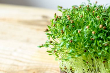 Genç lahanaları kapatın. Vejetaryen ve sağlıklı beslenme konsepti.. 