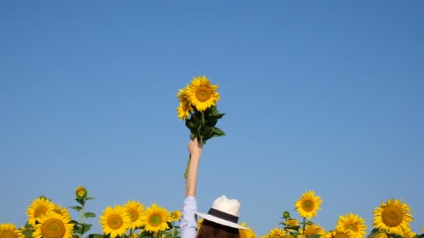 Femme main levée avec un bouquet de tournesols sur fond de ciel bleu. espace pour le test — Video