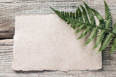 Boş kağıt kart maketi ve ahşap arka planda eğreltiotu dalı, üst manzara. Mesaj için yer. Yüksek kalite fotoğraf