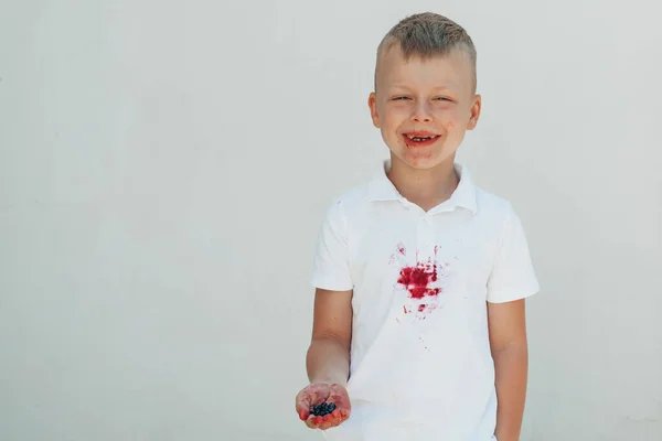 Gyermek Bogyókat Eszik Kezében Szennyezett Arcon Ruhákon Foltok Tisztításának Koncepciója — Stock Fotó
