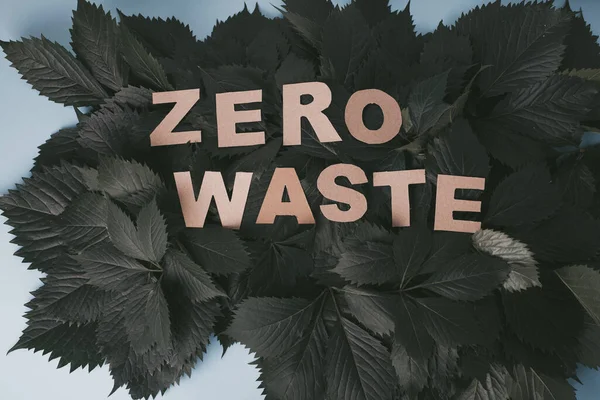 Zero Odpadów Papieru Tekst Zielonymi Liśćmi Niebieskim Tle Widok Góry — Zdjęcie stockowe