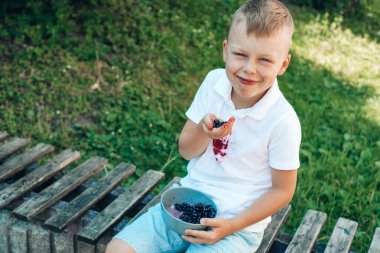 Güzel çocuk elleriyle taze böğürtlen yiyor ve ahşap bir bankta oturuyor. Açık havada. Leke temizleme konsepti