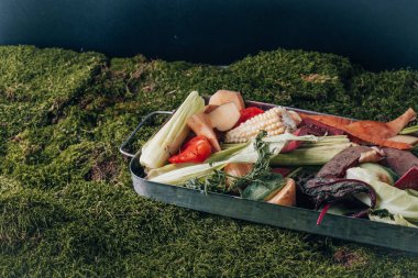 Yeşil arka planda taze mutfak artıkları var. Üst Manzara. Sürdürülebilir ve sıfır atık. - Evet. Yüksek kalite fotoğraf