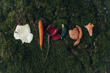 Yeşil arka planda sebze kabukları. Çevreye duyarlı davranış, ekolojik, geri dönüşümlü atık kavramı. Yüksek kalite fotoğraf