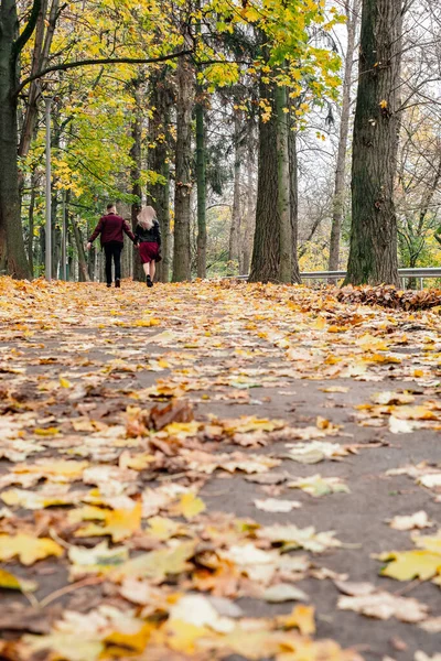 Sonbahar Parkında Yürüyen Romantik Genç Bir Çift Aile Parkta Bir — Stok fotoğraf