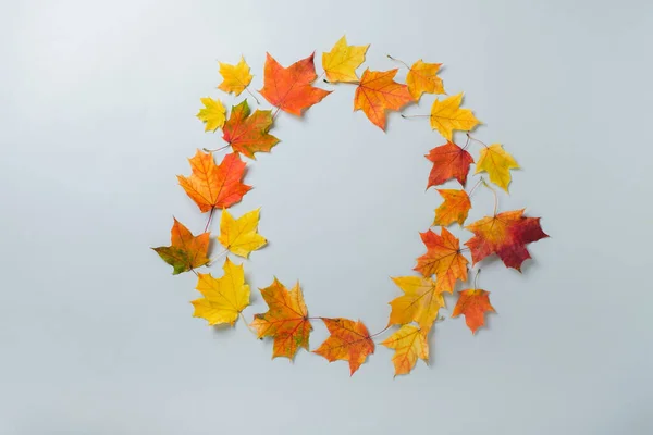 Herfst Kleurrijke Bladeren Krans Grijze Achtergrond Herfst Herfst Concept Platte — Stockfoto