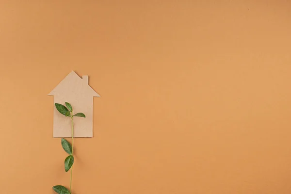 Hus Kartong Cutout Med Färska Gröna Blad Växer Begreppet Hållbart — Stockfoto